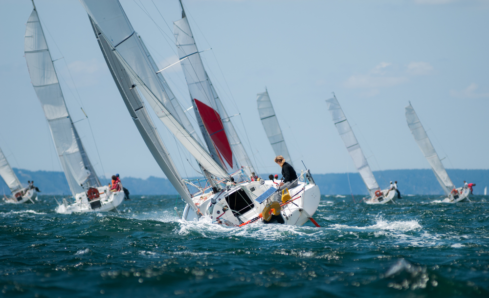Licencia Patrón Deportivo De Bahía